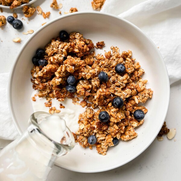 homemade cereal in a bowl with milk and blueberries