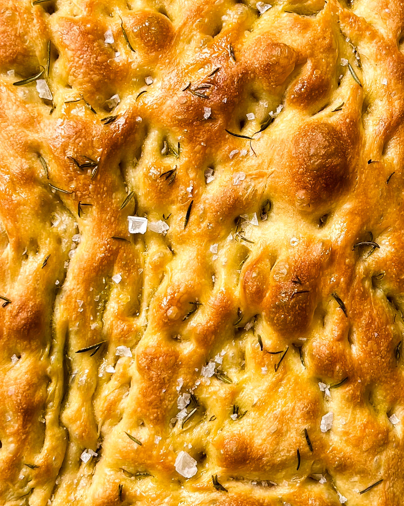 macro image of focaccia